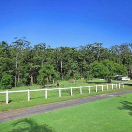 Cabin Country Retreat Paskins Farm Palmwoods Luaran gambar