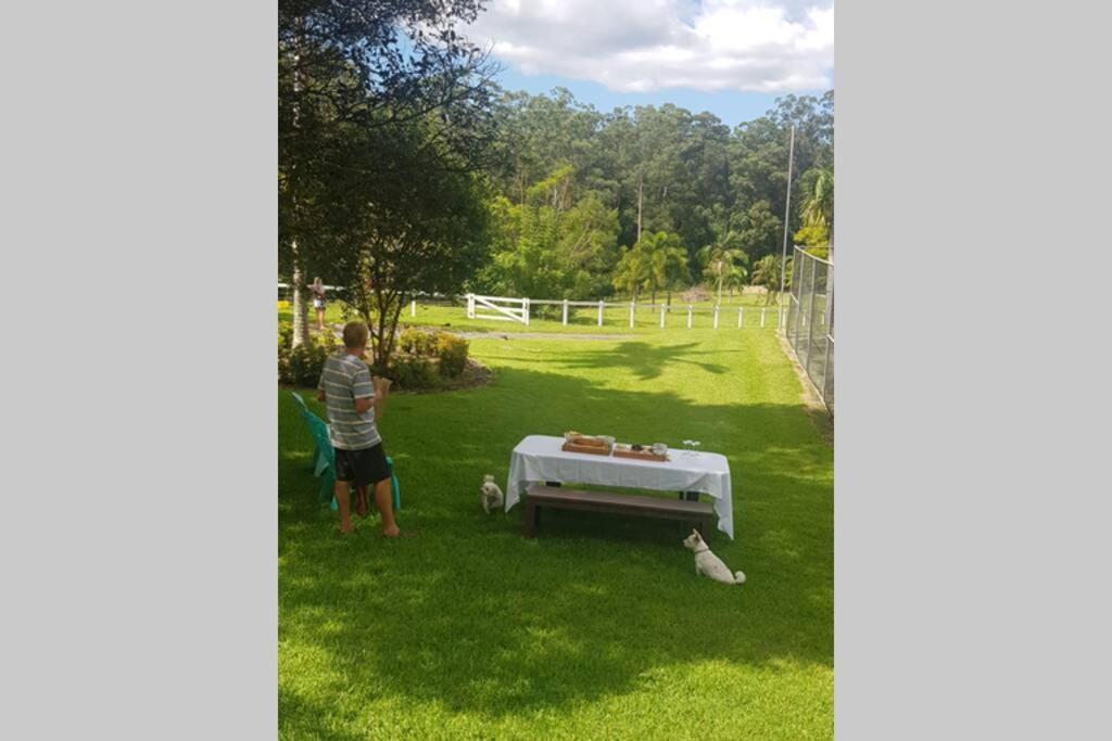 Cabin Country Retreat Paskins Farm Palmwoods Luaran gambar